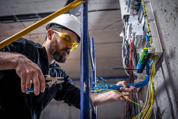 Best Licensed Electrician  in Despard, WV