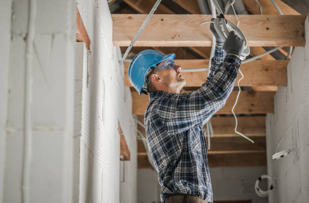 Best Home Electrical Repair  in Despard, WV