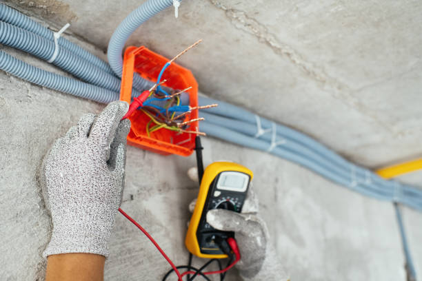 Best Electrical Troubleshooting Services  in Despard, WV