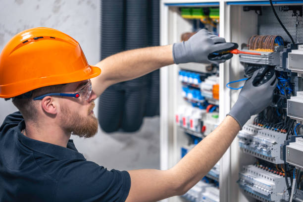 Best Electric Panel Repair  in Despard, WV